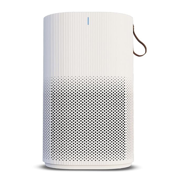 Best Air Purifiers for 2026
